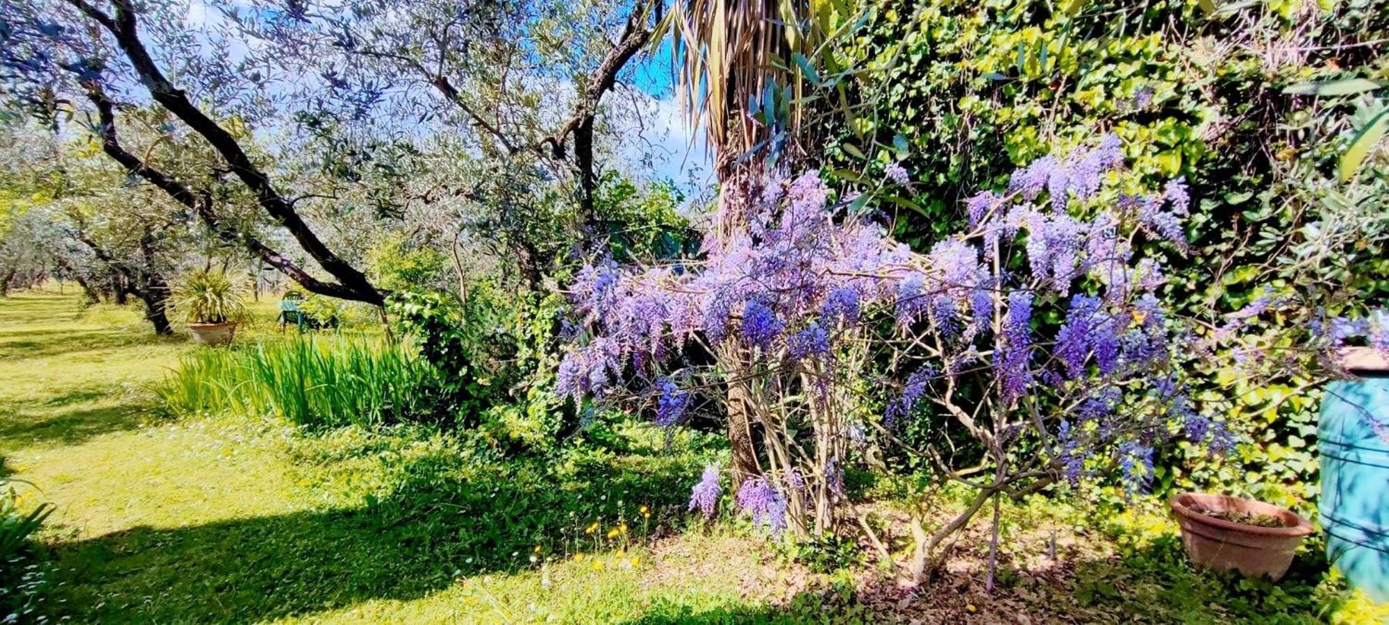 La Casa Dei Nonni Villa Larciano Exteriör bild