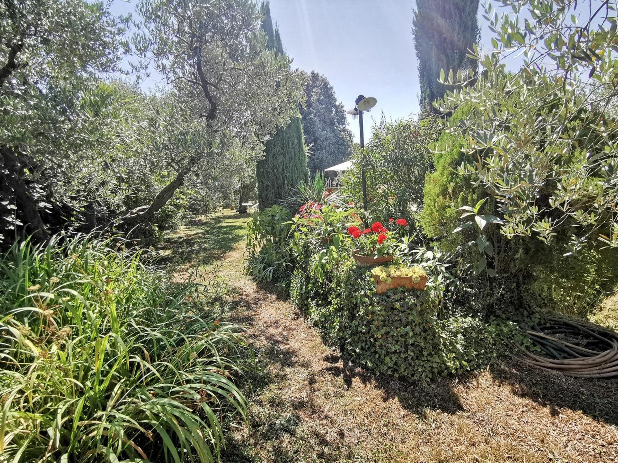 La Casa Dei Nonni Villa Larciano Exteriör bild