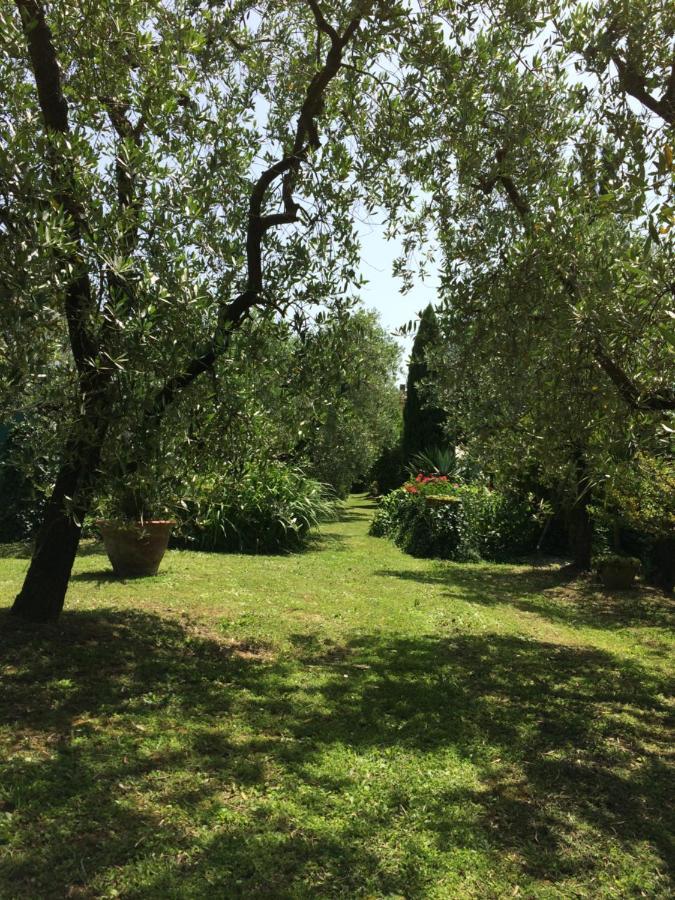 La Casa Dei Nonni Villa Larciano Exteriör bild
